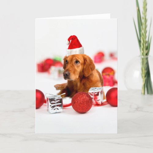 Golden Retriever Dog W Red Santa Hat Christmas Holiday Card