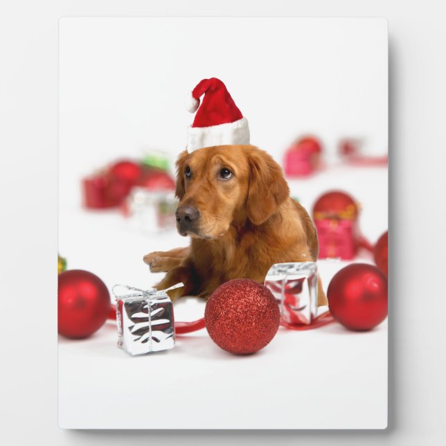 Golden Retriever Dog W Red Santa Hat Christmas Plaque (Front)