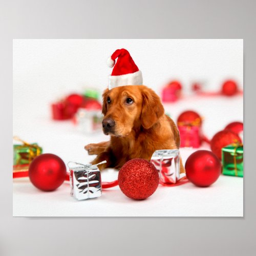 Golden Retriever Dog W Red Santa Hat Christmas Poster