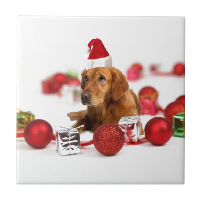 Golden Retriever Dog W Red Santa Hat Christmas Tile (Front)