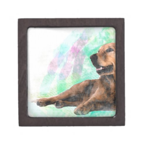 Golden Retriever Dog Water Color Painting Gift Box