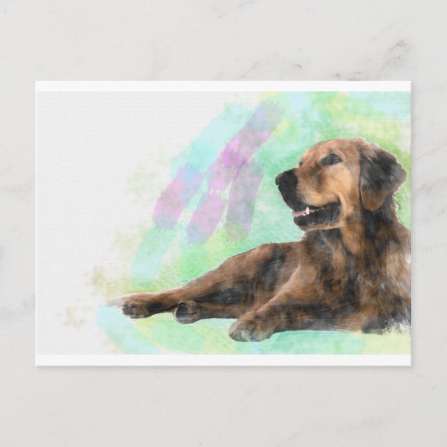 Golden Retriever Dog Water Color Painting Postcard (Front)
