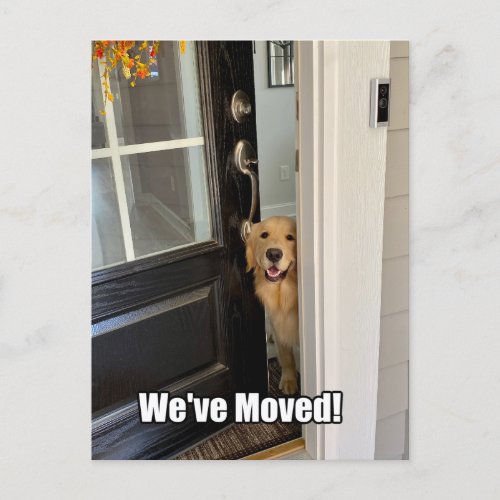 Golden Retriever Dog Weve Moved Change of Address Announcement Postcard