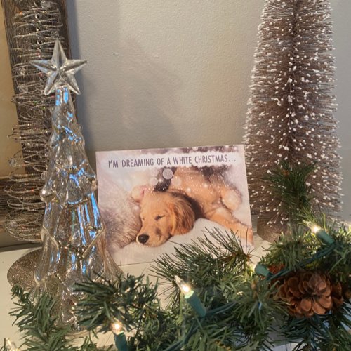Golden Retriever Dog White Christmas Card