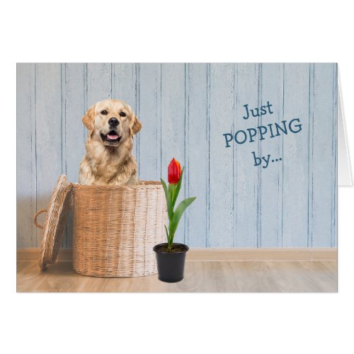 Golden Retriever Dog Wicker Basket Birthday Card