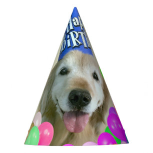 Golden Retriever Dog With Balloons Birthday Party Hat