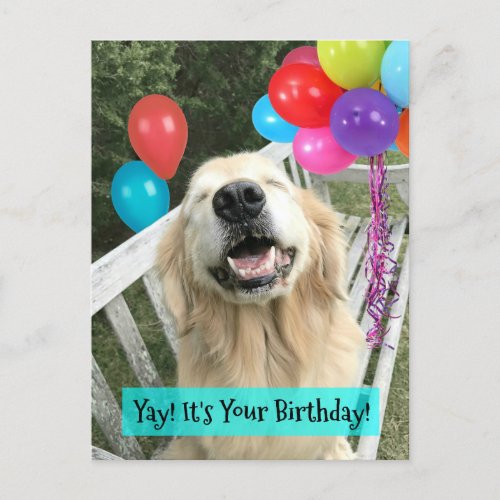 Golden Retriever Dog With Balloons Birthday Postcard