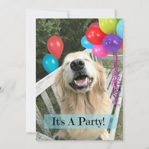 Golden Retriever Dog With Balloons Custom Birthday Invitation