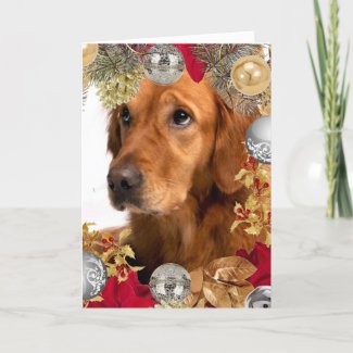 Golden Retriever Dog with Christmas Wreath Holiday