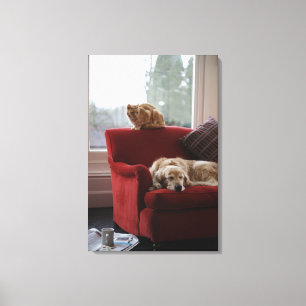 Golden retriever dog with ginger tabby cat canvas print