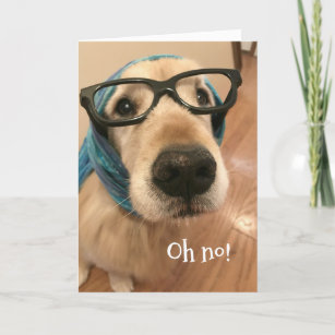 Golden Retriever Dog With Glasses Belated Birthday Card