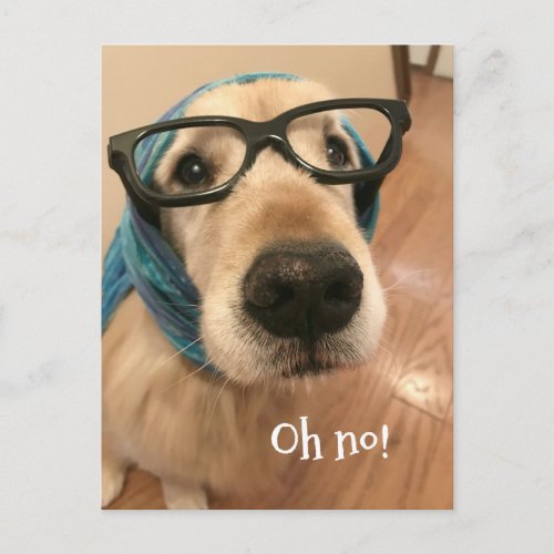Golden Retriever Dog With Glasses Belated Birthday Postcard