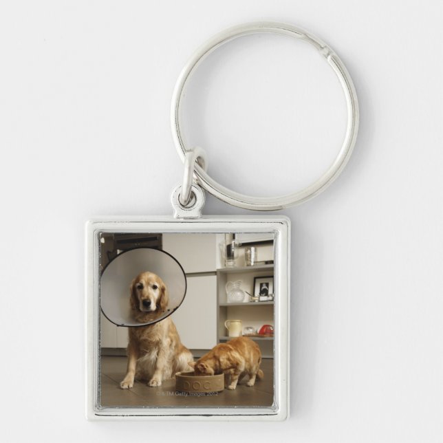 Golden retriever dog with medical collar sitting keychain (Front)