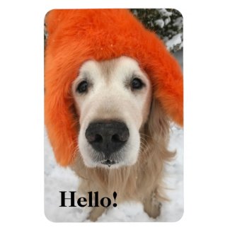 Golden Retriever Dog With Orange Fuzzy Hat in Snow Magnet