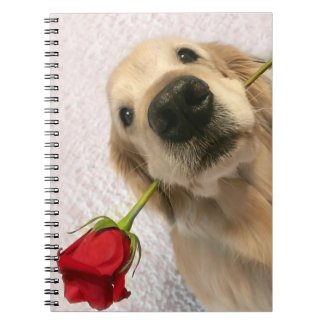 Golden Retriever Dog With Red Rose Notebook