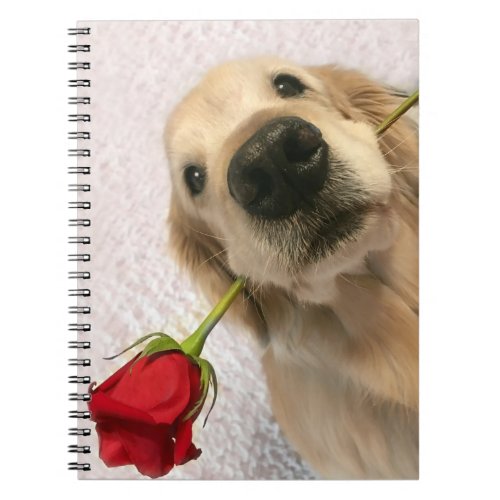 Golden Retriever Dog With Red Rose Notebook