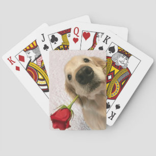 Golden Retriever Dog With Red Rose Poker Cards