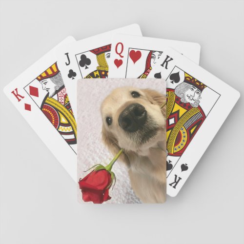 Golden Retriever Dog With Red Rose Poker Cards