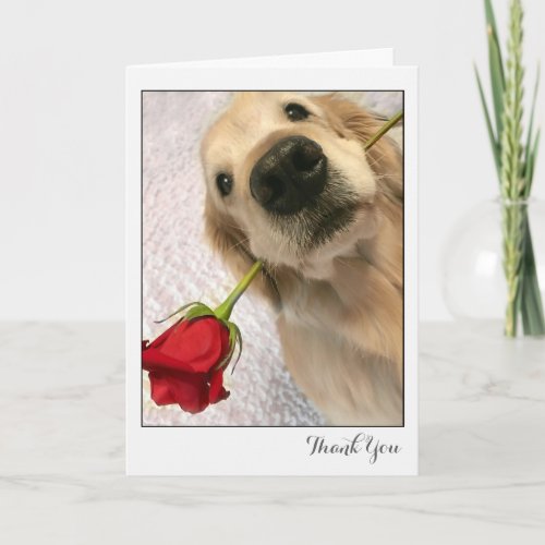 Golden Retriever Dog With Red Rose Thank You