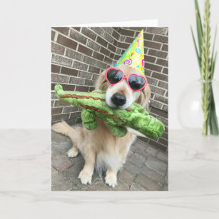 Golden Retriever Dog With Toy Happy Birthday Card