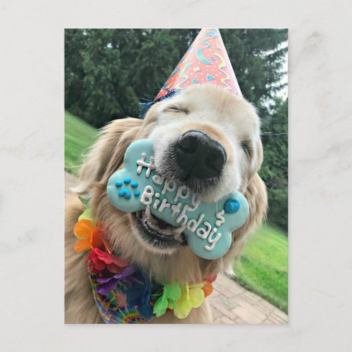 Golden Retriever Dog With Treat Happy Birthday Postcard