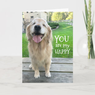Golden Retriever Dog You Are My Happy Card