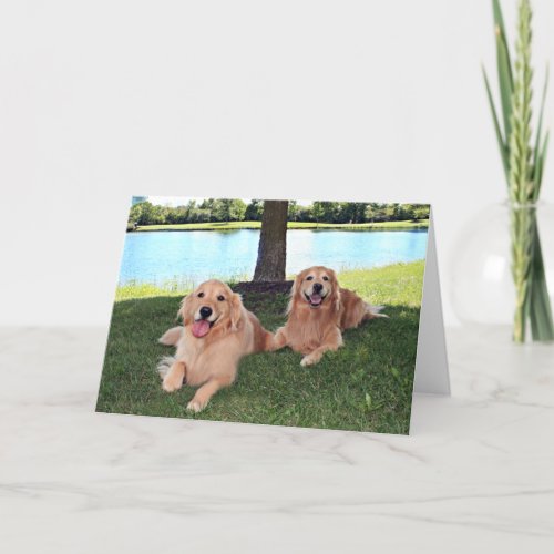 Golden Retriever Dogs in Park Have a Happy Day Card