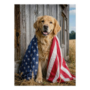 Golden Retriever Draped in an American Flag Poster