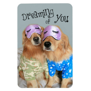 Golden Retriever Dreaming of You Magnet