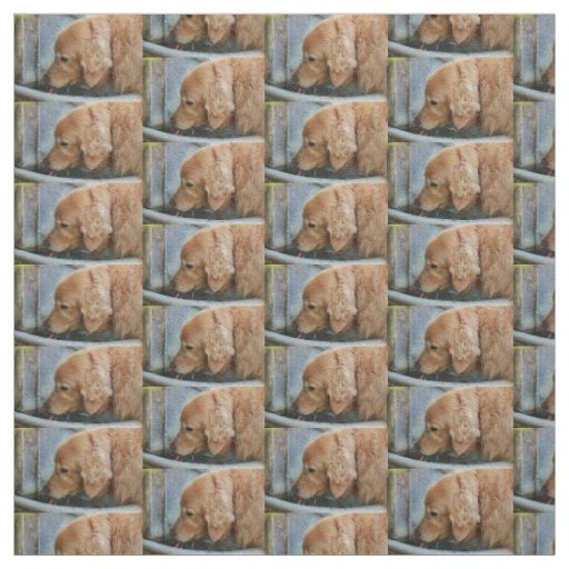 golden retriever drinking from a fountain in back fabric