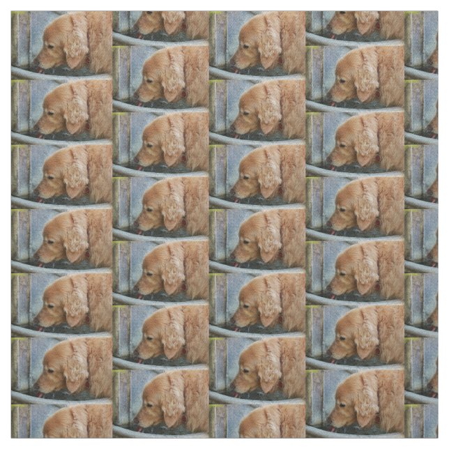 golden retriever drinking from a fountain in back fabric (Swatch)