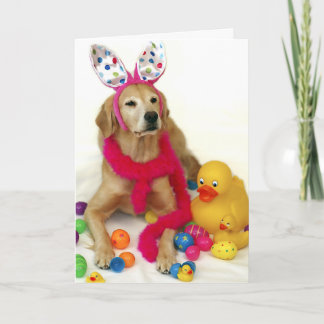 Golden Retriever Easter Bunny Holiday Card