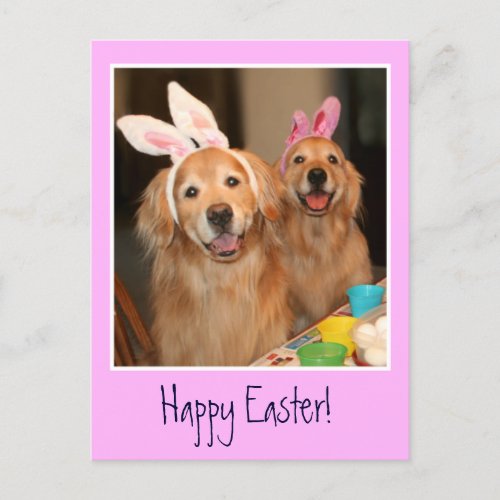 Golden Retriever Easter Bunny Holiday Postcard