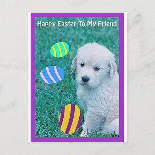 Golden Retriever Easter Puppy Cards & Gifts