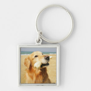 Golden Retriever eating bone Keychain
