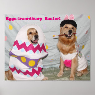 Golden Retriever Eggstraordinary Easter Bunny Poster