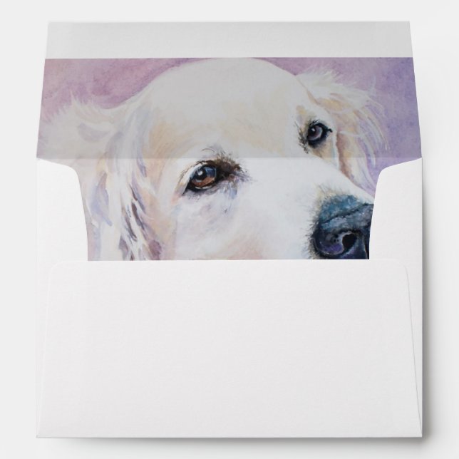 Golden retriever envelope (Back (Bottom))