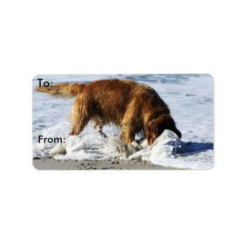 Golden Retriever Everybody Stop! I Lost My Contact Label by FrankzPawPrintz at Zazzle