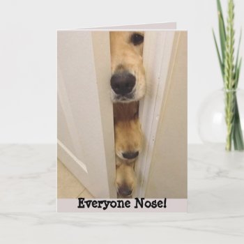 Golden Retriever Everyone Nose Birthday Card by normagolden at Zazzle