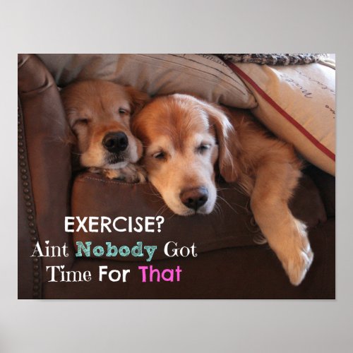 Golden Retriever Exercise Demotivational Poster