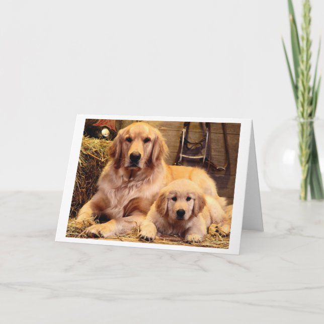 Golden Retriever Father's Day Card (Front)