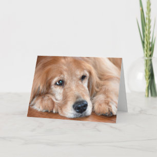golden retriever feel better soon card