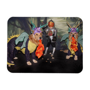 Golden Retriever Fire Breathing Dragons Magnet