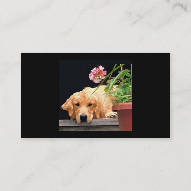 Golden Retriever Flower Girl Breeder Business Card (Front)