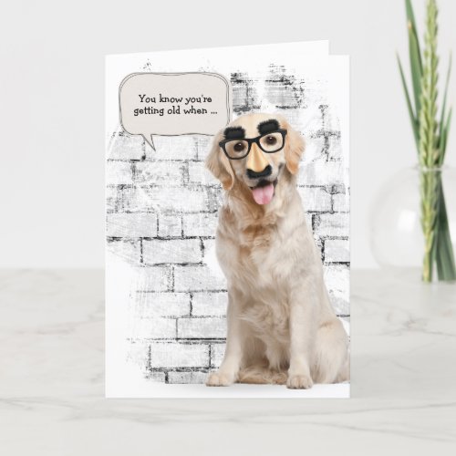 Golden Retriever for getting old birthday Card