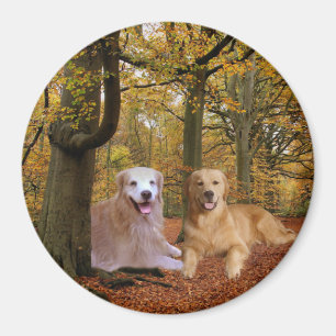 Golden Retriever Friendship Magnet