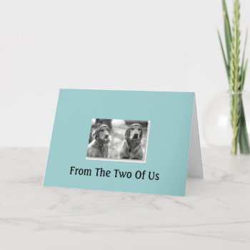 Golden Retriever From The 2 Of Us Birthday Card by normagolden at Zazzle