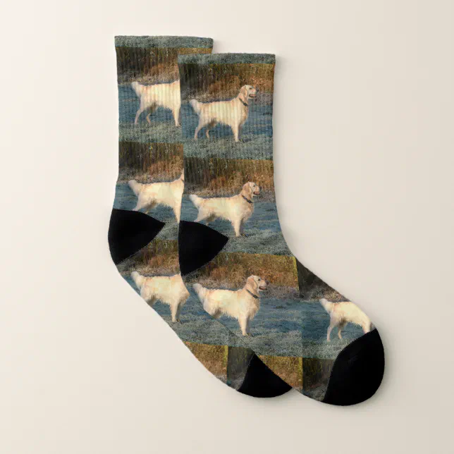 Golden Retriever Full 6 Socks R526baf980bb64257bd2d5afda311d20b Ejsjd 644.webp?rlvnet=1