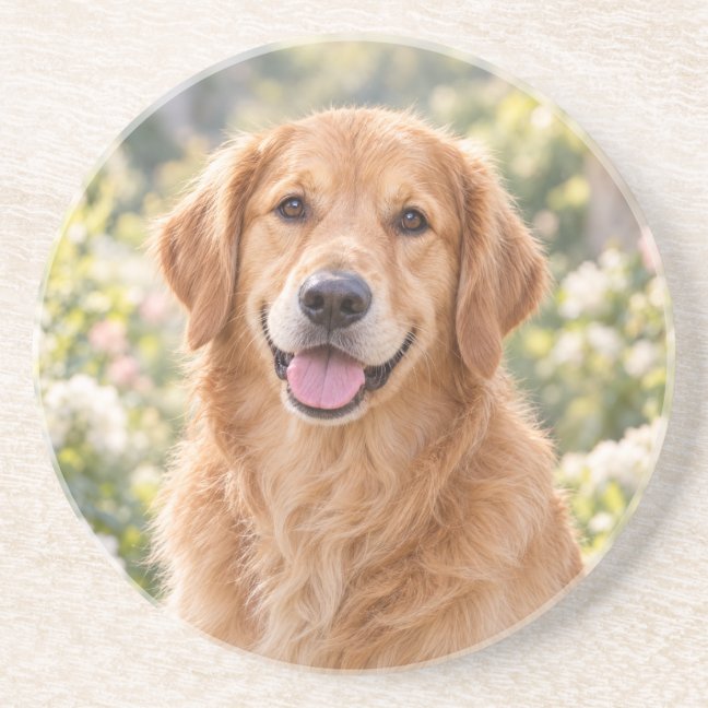 Golden Retriever Collection — preview