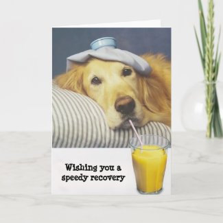 Golden Retriever Get Well Card